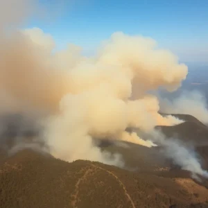 Wildfires in the Carolinas