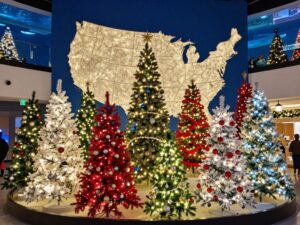 Decorated Christmas trees representing U.S. states at Ripley's Festival of Trees in Myrtle Beach