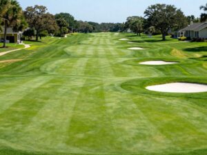 Renovated King's North Golf Course in Myrtle Beach