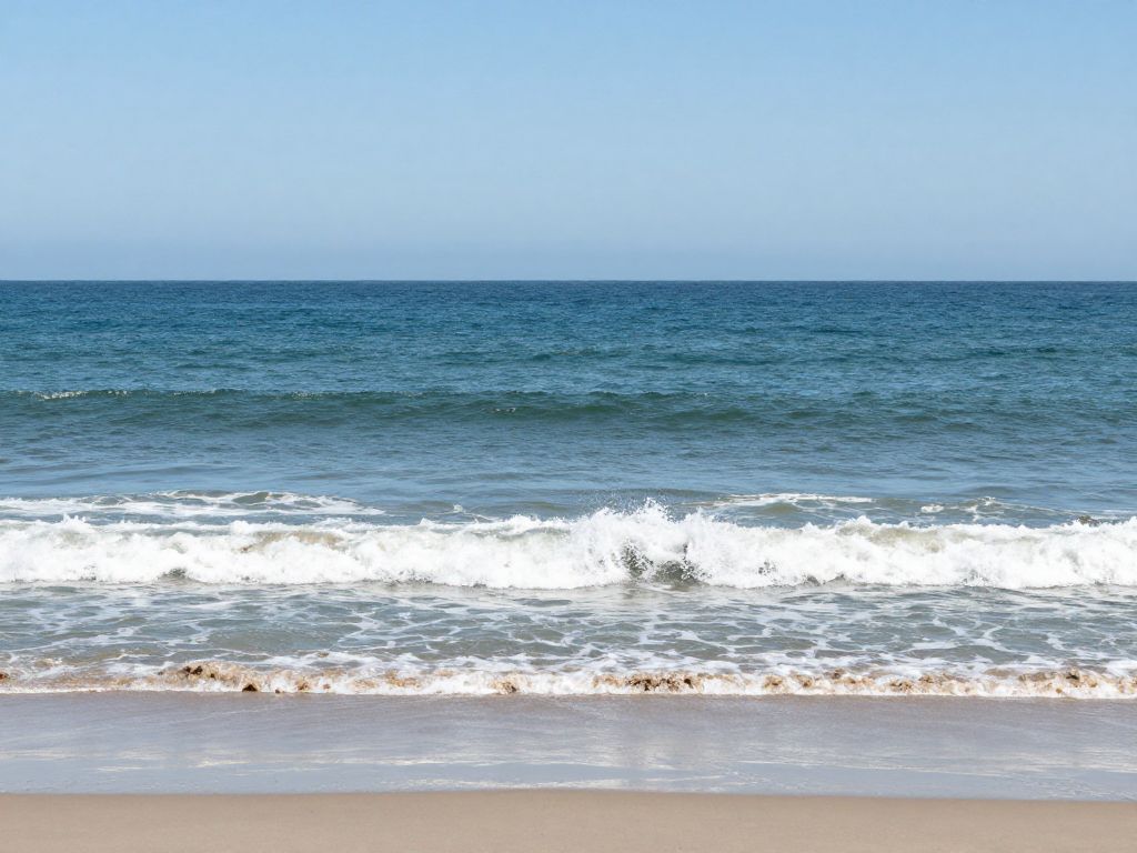 Aerial view of Myrtle Beach ocean waters during a search operation.