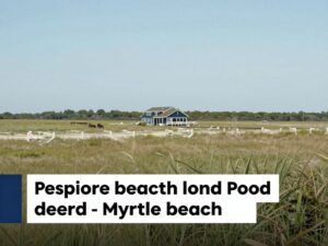 Peaceful landscape of Myrtle Beach revealing calm waters and sandy shores