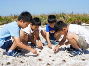 Children exploring a salt marsh
