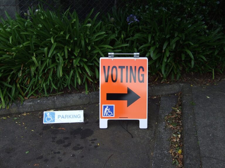 Early Voting Opens Oct. 19 Ahead of SC Senate Race